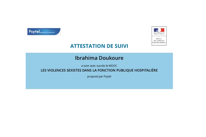 Les Violences sexistes dans la fonction Publique Hospitalière de Psytel